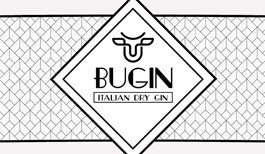 Bugin